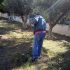 Ο σύλλογος Αγ. Γεωργίου καθαρίζει κήπους για να ανταπεξέλθει στα έξοδα
