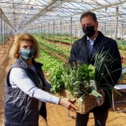 Μέτρα για τις βιολογικές καλλιέργειες ανακοίνωσε από τη Ραφήνα ο Σπήλιος Λιβανός