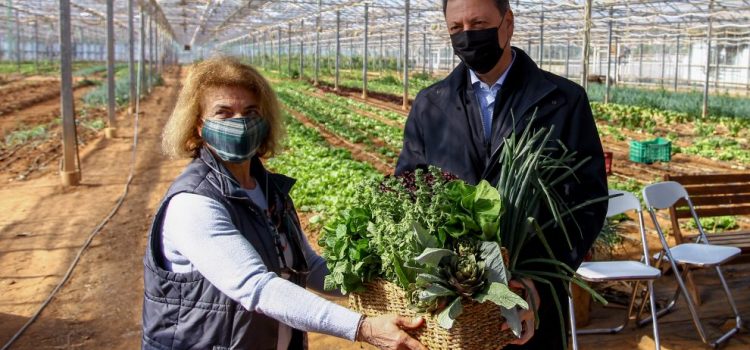 Μέτρα για τις βιολογικές καλλιέργειες ανακοίνωσε από τη Ραφήνα ο Σπήλιος Λιβανός