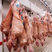 Αυξημένη κατά 20% τουλάχιστον η τιμή του οβελία φέτος, με την έλλειψη ντόπιου κρέατος στην αγορά να ξεπερνά το 30%