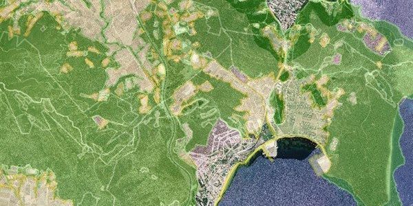Δασικοί Χάρτες: «ειδοποίηση – παγίδα» στην πλατφόρμα του Κτηματολογίου
