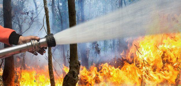 Πυρκαγιά στο χωριό Κυψέλη του Δήμου Τροιζηνίας-Μεθάνων