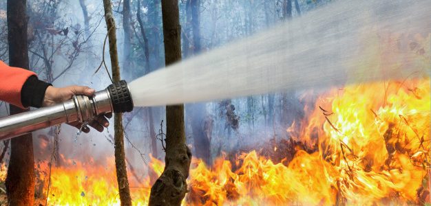 Πυρκαγιά σε δασική έκταση στον Μαραθώνα