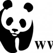 WWF: Σημαντική αύξηση της ανησυχίας των ανθρώπων για την απώλεια της φύσης παγκοσμίως