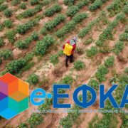 e-ΕΦΚΑ: 10 ηλεκτρονικές υπηρεσίες για αγρότες