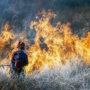 Πυρκαγιά στην περιοχή Ριτσώνα του Δήμου Χαλκιδέων Ευβοίας