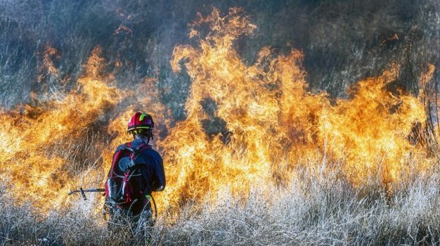 Πυρκαγιά σε δασική έκταση στην Βραυρώνα Αττικής – Δεν απειλείται κατοικημένη περιοχή, σύμφωνα με την πυροσβεστική
