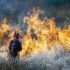 Πυρκαγιά και στη Σαλαμίνα – Κινητοποιήθηκαν εναέριες δυνάμεις