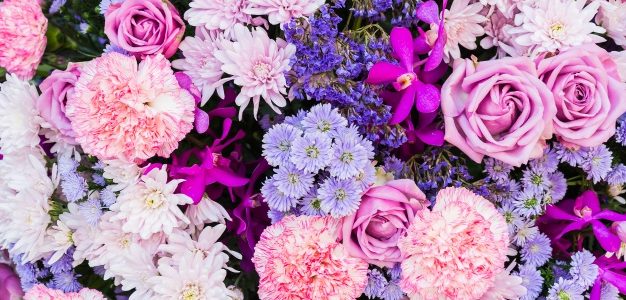 «Γιορτή λουλουδιών» στην πλατεία Αλεξάνδρας στον Πειραιά