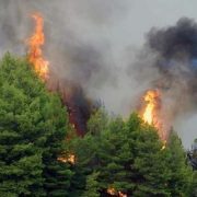 Πυρκαγιά σε δασική έκταση στην περιοχή Δρυμώνα Ελυμνίων Εύβοιας