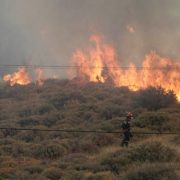 Φωτιά καίει δασική έκταση στην περιοχή Κυανή Ακτή