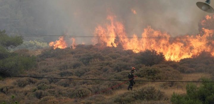Φωτιά καίει δασική έκταση στην περιοχή Κυανή Ακτή