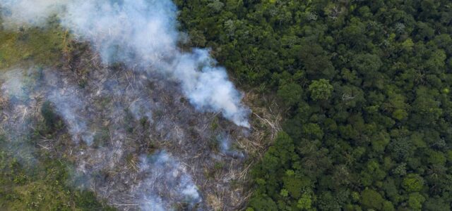 Το δάσος του Αμαζονίου εκπέμπει περισσότερο διοξείδιο του άνθρακα απ’ όσο απορροφά, λέει έρευνα