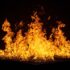Πυρκαγιά σε χαμηλή βλάστηση στη Σαλαμίνα