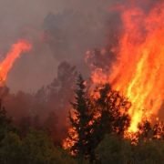 Δοκιμάζεται η Κύπρος απο την φωτια στη Λεμεσσο και τη Λάρνακα. Εκκενώνονται τουλάχιστον άλλα επτά χωριά