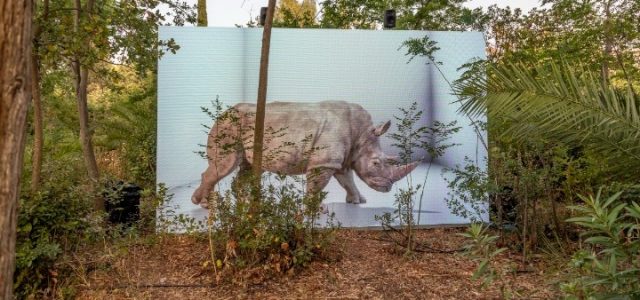 Το Πεδίον του Άρεως υποδέχεται την τεχνητή νοημοσύνη