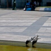 Θερμοκρασίες έως 41 βαθμούς, άνεμοι έως 6 μποφόρ και τοπικές βροχές σήμερα