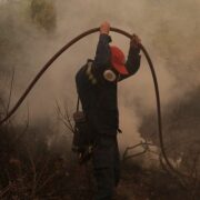 Δύο πυρκαγιές σε δασικές εκτάσεις στην Νέα Μάκρη Αττικής