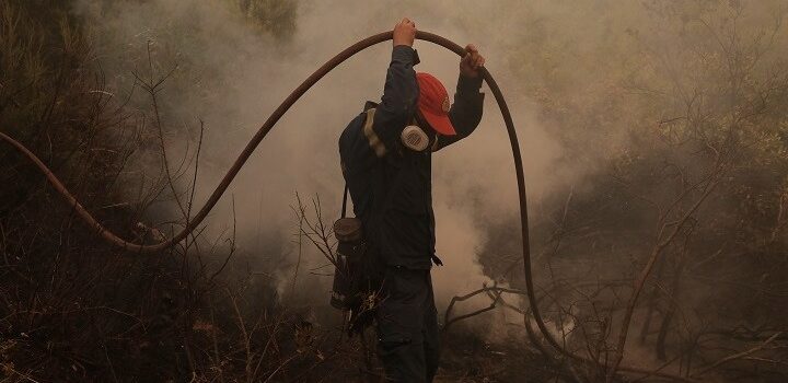 Δύο πυρκαγιές σε δασικές εκτάσεις στην Νέα Μάκρη Αττικής