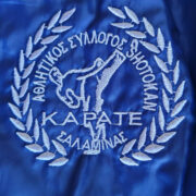 Ο Αθλητικός Σύλλογος Shotokan Karate Σαλαμίνας επισκέφτηκε το γραφείο του Δημάρχου Σαλαμίνας σε ένα πολύ ζεστό κλίμα