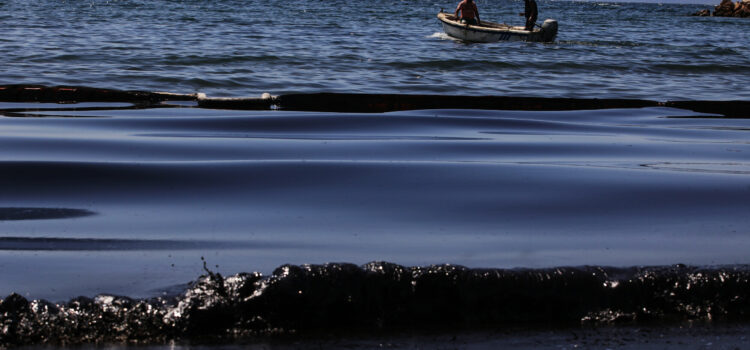 Ναυάγιο «Αγία Ζώνη ΙΙ» – WWF: Περιβαλλοντικό έγκλημα χωρίς τιμωρία, 4 χρόνια μετά