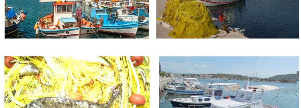 Ιδιωτικές Επενδύσεις για την Αειφόρο Ανάπτυξη των Αλιευτικών Περιοχών