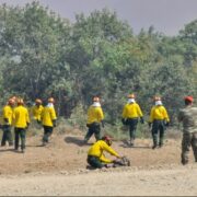 Αρχίζει στις ΗΠΑ η εκπαίδευση των πρώτων Ελλήνων δασοκομάντος