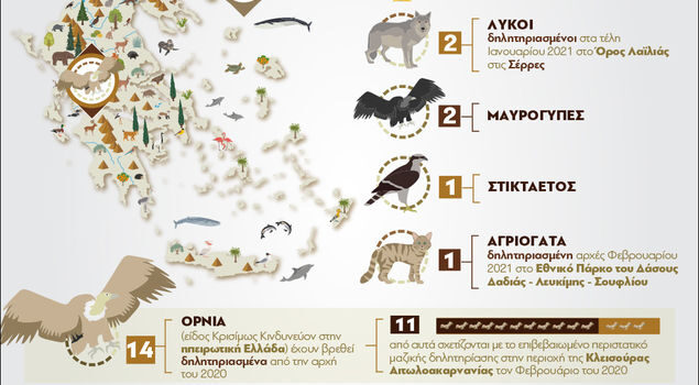 Εκτός ελέγχου η δηλητηριάση των άγριων ζώων στην Ελλάδα