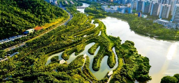 Πόλεις «σφουγγάρι» καταπίνουν το νερό – Η πράσινη απάντηση της Κίνας στην κλιματική κρίση
