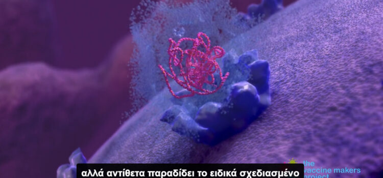 Πώς λειτουργούν τα εμβόλια mRNA – Καμία επαφή με το DNA! – Δείτε το βίντεο