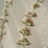 ”Micromeria Acropolitaka”, το αγριολούλουδο που φυτρώνει μόνο στην Ακρόπολη