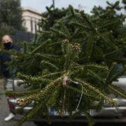 Πρόγραμμα ανακύκλωσης των φυσικών χριστουγεννιάτικων δέντρων στους δήμους της Αττικής