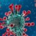 Ο ιός SARS-CoV-2 μπορεί να εξαπλώνεται στην καρδιά και στον εγκέφαλο