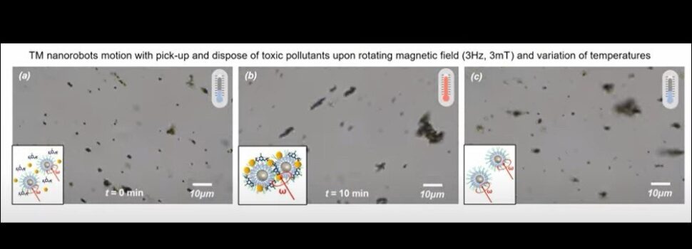 Δημιουργήθηκαν νανορομπότ που μπορούν να απομακρύνουν τη ρύπανση από το νερό