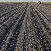 Γ. Γεωργαντάς: Όλες οι αποφάσεις μας έχουν ως μοναδικό στόχο τη στήριξη των πραγματικών αγροτών