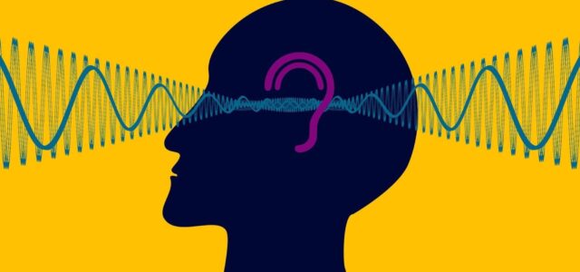 Νευροεπιστήμη: Ανακαλύφθηκαν για πρώτη φορά «νευρώνες του τραγουδιού» στον ανθρώπινο εγκέφαλο