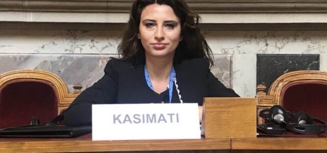Νίνα Κασιμάτη, Αντιπρόεδρος με αρμοδιότητα τον Ευρωπαϊκό Κοινωνικό Χάρτη στην Επιτροπή Κοινωνικών Υποθέσεων της Κοινοβουλευτικής Συνέλευσης του Συμβουλίου της Ευρώπης στο Στρασβούργο