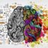 Πώς η εμπειρία μπορεί να αλλάξει τη δομή του εγκεφάλου μας