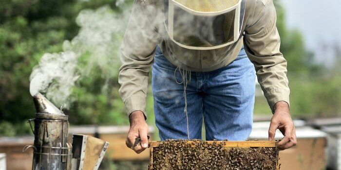 Ατομική Ψηφιακή Μελισσοκομική Ταυτότητα για κάθε ενεργό μελισσοκόμο