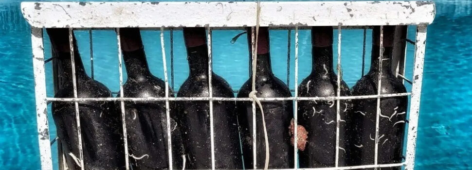 Υποβρύχια κάβα: Κρασιά παλαιωμένα στον βυθό της Χαλκιδικής