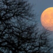 Το Αυγουστιάτικο Φεγγάρι: Ένα επίκαιρο άρθρο του Διονύση Σιμόπουλου