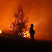 Μελτέμια και ξηρασία θέτουν σε επιφυλακή τον κρατικό μηχανισμό – 41 δασικές πυρκαγιές το προηγούμενο 24ωρο