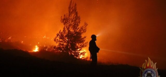Μελτέμια και ξηρασία θέτουν σε επιφυλακή τον κρατικό μηχανισμό – 41 δασικές πυρκαγιές το προηγούμενο 24ωρο