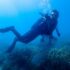Το πρόγραμμα «Προσφέρω»  για καθαρότερες ελληνικές θάλασσες και ακτές Και στη Σαλαμίνα