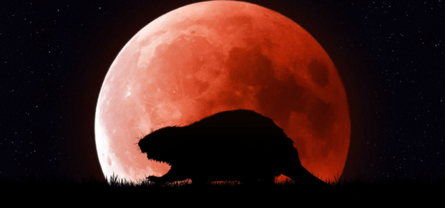 Πανσέληνος και ολική έκλειψη Σελήνης την Τρίτη – Γιατί ονομάζεται «φεγγάρι του κάστορα»