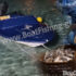 Σαλαμίνα: Σύλληψη τριών για ιχθυοκλοπές μεγάλων ποσοτήτων (560 κιλά) με σκάφος