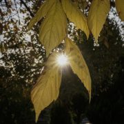 Τι προκάλεσε τον πρωτοχρονιάτικο καύσωνα στην Ευρώπη – Τεράστιο το οικονομικό και περιβαλλοντικό κόστος