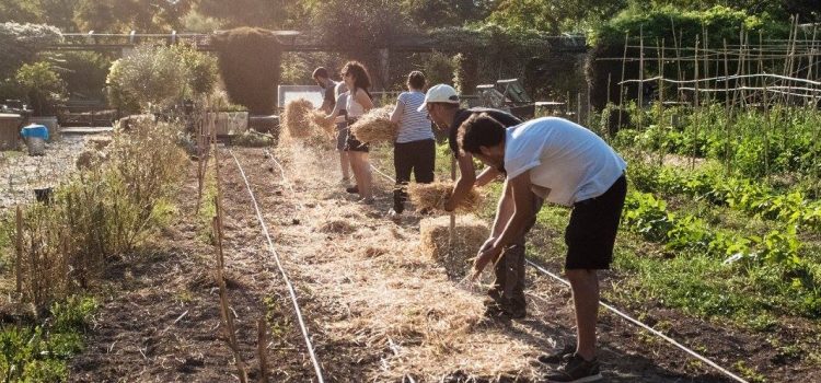 Εξαπλώνονται τα πάρκα τσέπης σε όλη την Ελλάδα φέρνοντας διεθνείς διακρίσεις