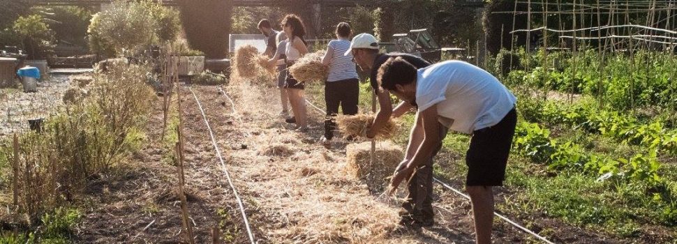 Εξαπλώνονται τα πάρκα τσέπης σε όλη την Ελλάδα φέρνοντας διεθνείς διακρίσεις