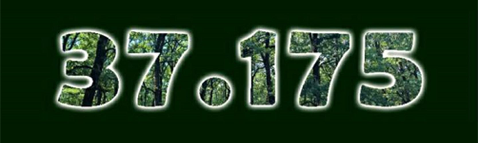 37.175 δέντρα για τη Σαλαμίνα. Ένα δέντρο για κάθε κάτοικο